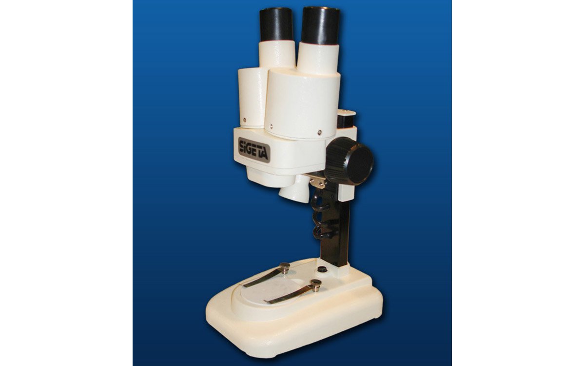 Binocular microscope with illumination